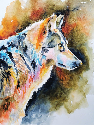 Lone Wolf - Watercolor  by artist Rita Hendricks