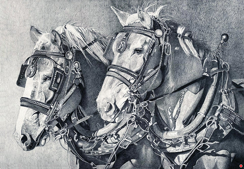 Plowing the south 40 - Pencil  by artist Ricky Hill
