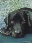 Black Lab On Foliage - Pastel/Mixed Media  by artist Marla Rush Parnell