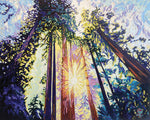 Sunburst in the Redwoods - oil on canvas  by artist Thérèse Légère