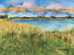 Marsh Lake in Bloom - Oils  by artist Fran Johnson