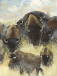 Bison on the Run - oil  by artist Etty Yanai