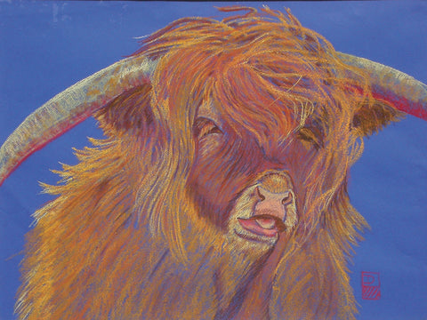 Highland Cow - Pastel  by artist Brenda Delle