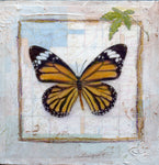 Judith Monroe - "Butterfly Collection #10"